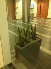 Plant display in the University of Wyoming College of Business